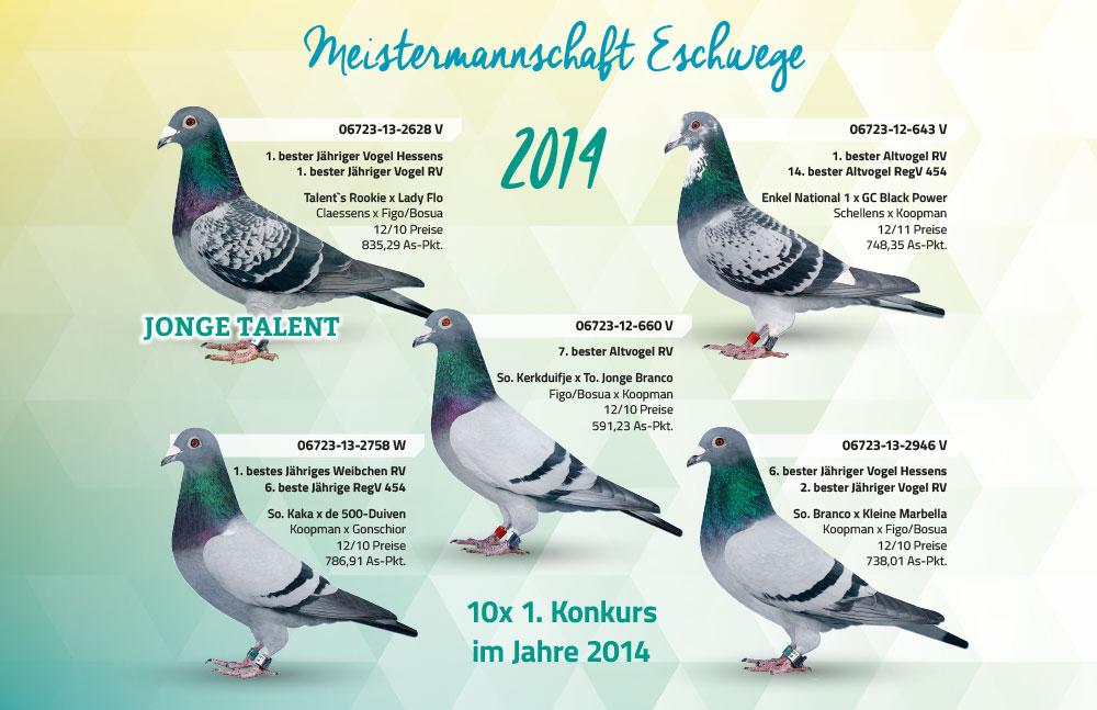 meisterschaftstauben eschwege2014