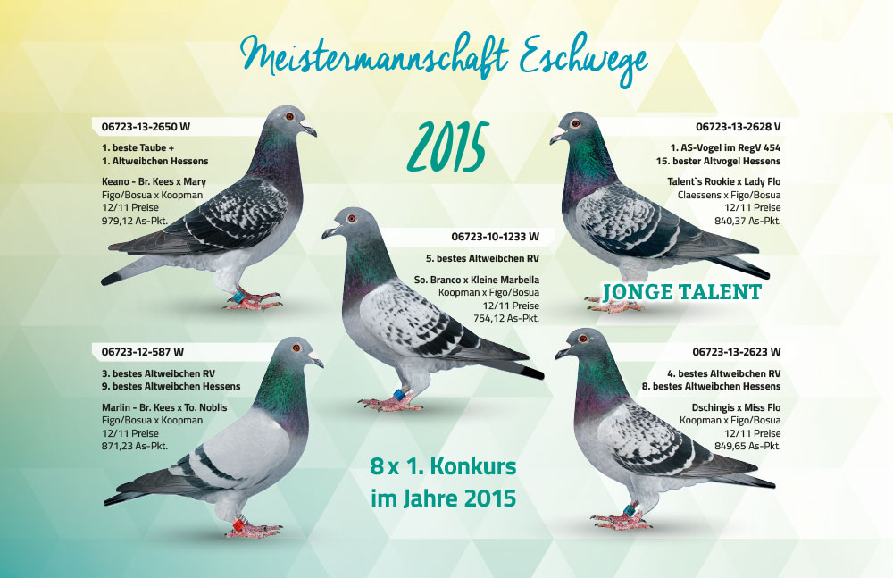 meisterschaftstauben eschwege2015