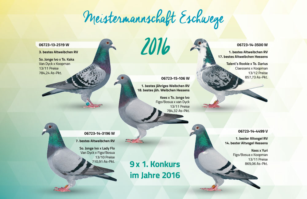 meisterschaftstauben eschwege2016
