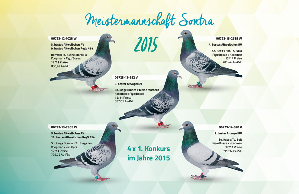 meisterschaftstauben sontra2015
